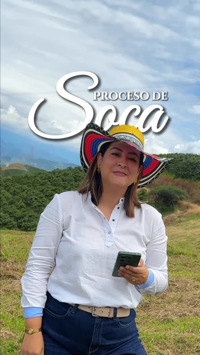 Historia del proceso de soca en los cafetales colombianos de Marcál